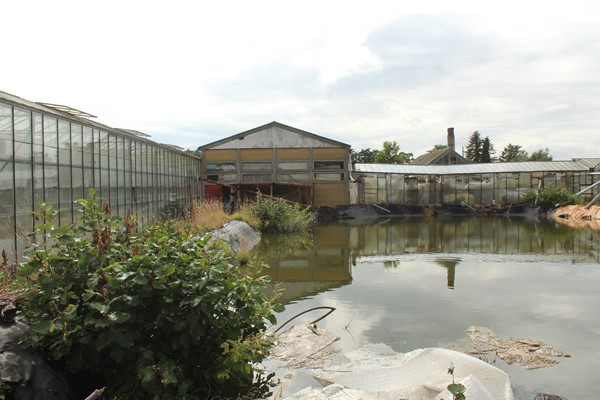 Medium property photo - Achterdiep Noordzijde, 9611 BT Sappemeer